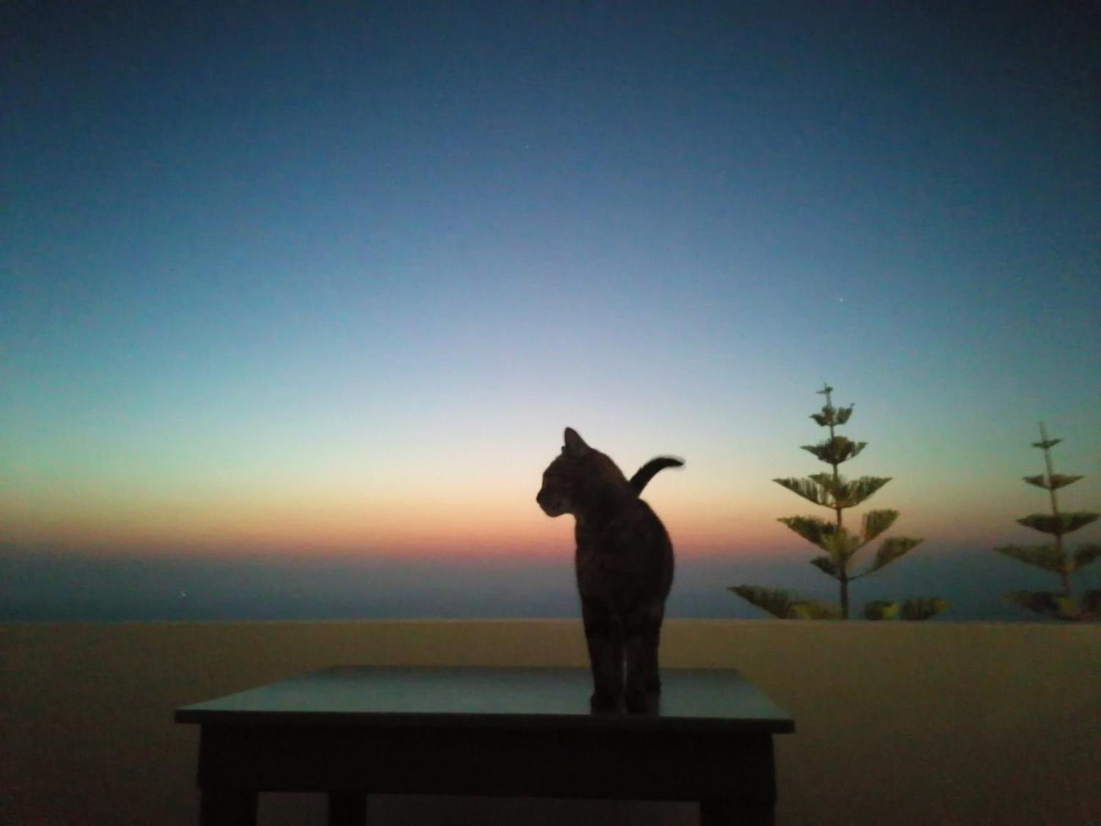 Phaos Santorini Suites إيميروفيغلي المظهر الخارجي الصورة