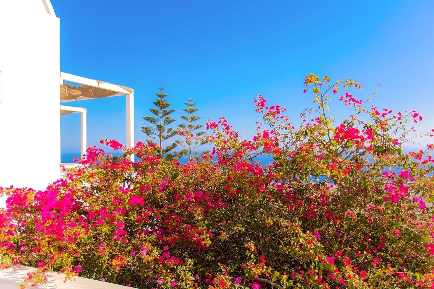 Phaos Santorini Suites إيميروفيغلي المظهر الخارجي الصورة